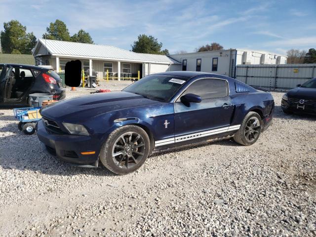 FORD MUSTANG 2010 1zvbp8an9a5165656