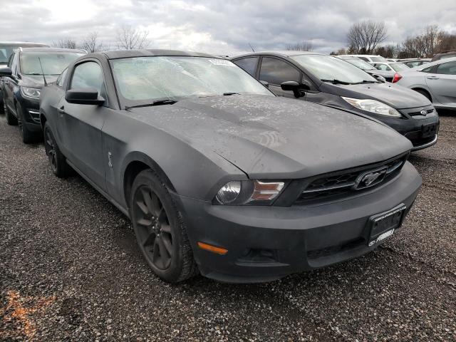 FORD MUSTANG 2010 1zvbp8an9a5166449