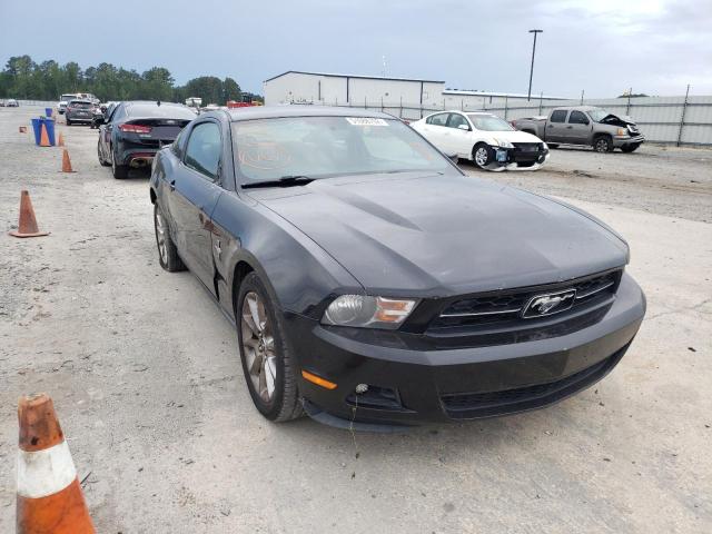 FORD MUSTANG 2010 1zvbp8an9a5172428