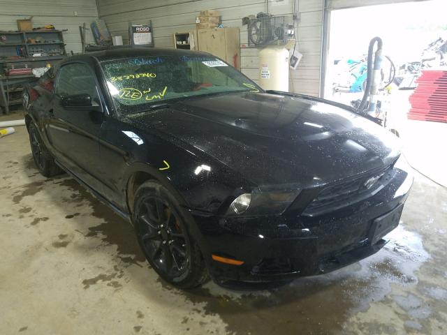 FORD MUSTANG 2010 1zvbp8an9a5172736