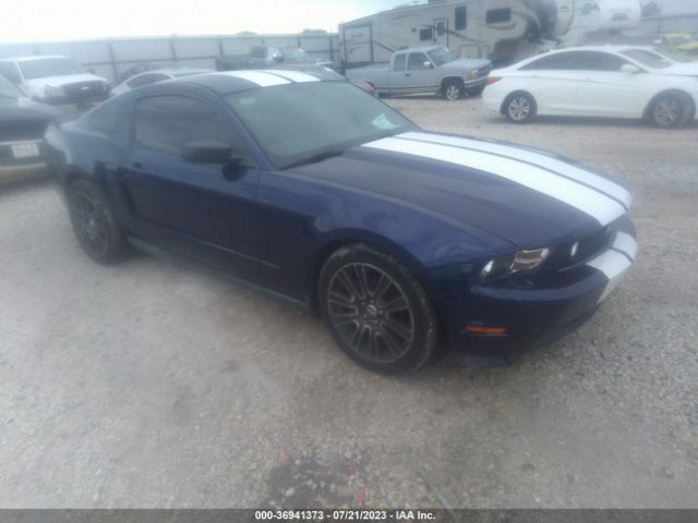 FORD MUSTANG 2010 1zvbp8an9a5176060