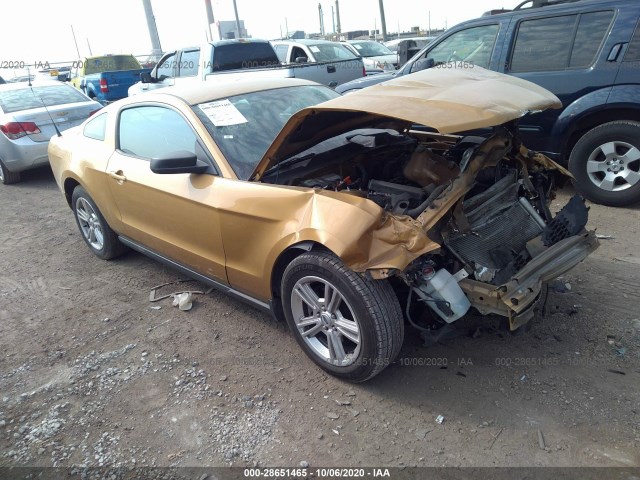 FORD MUSTANG 2010 1zvbp8an9a5176320