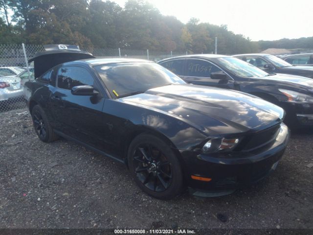 FORD MUSTANG 2010 1zvbp8an9a5177192