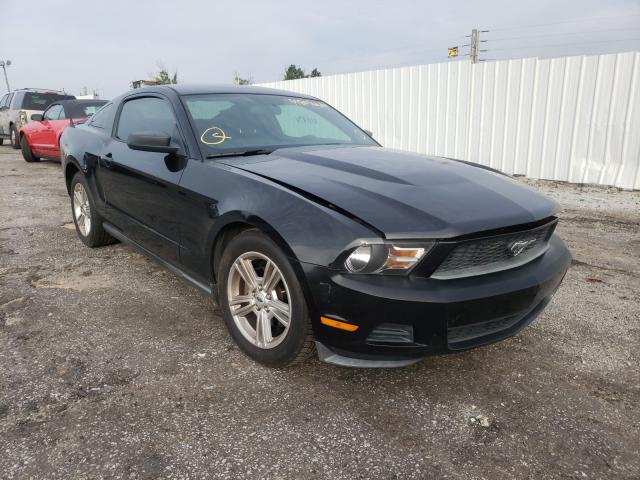 FORD MUSTANG 2010 1zvbp8an9a5180058