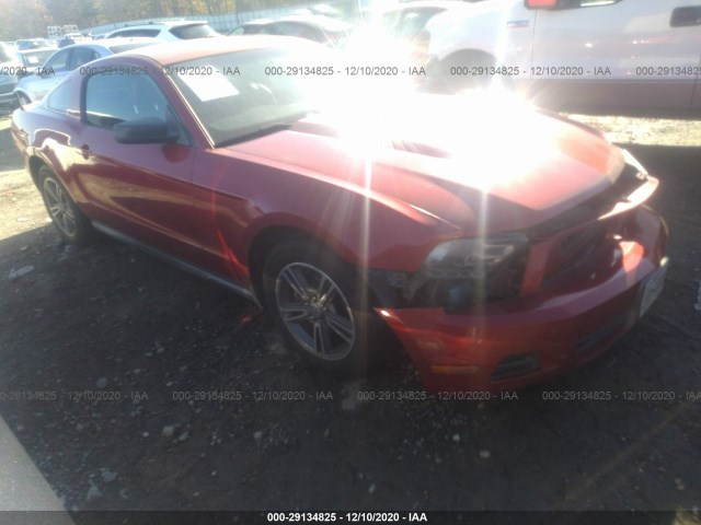 FORD MUSTANG 2010 1zvbp8anxa5102565