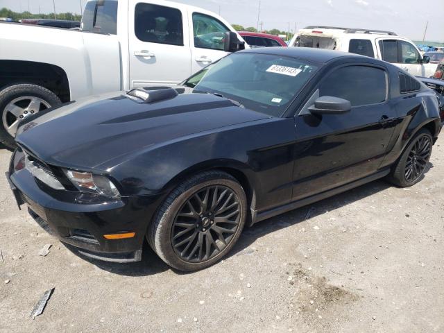 FORD MUSTANG 2010 1zvbp8anxa5104140