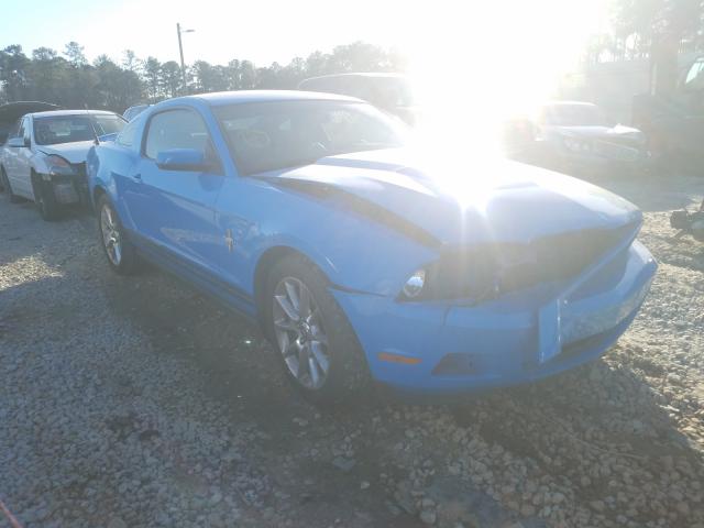 FORD MUSTANG 2010 1zvbp8anxa5104381