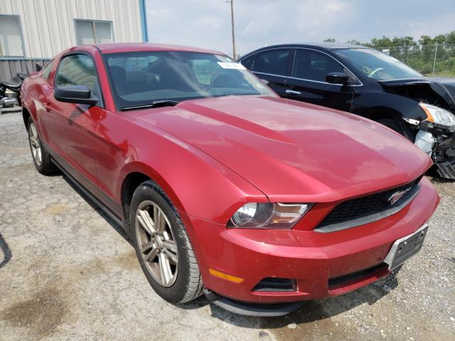 FORD MUSTANG 2010 1zvbp8anxa5104431