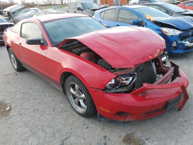 FORD MUSTANG 2010 1zvbp8anxa5106907