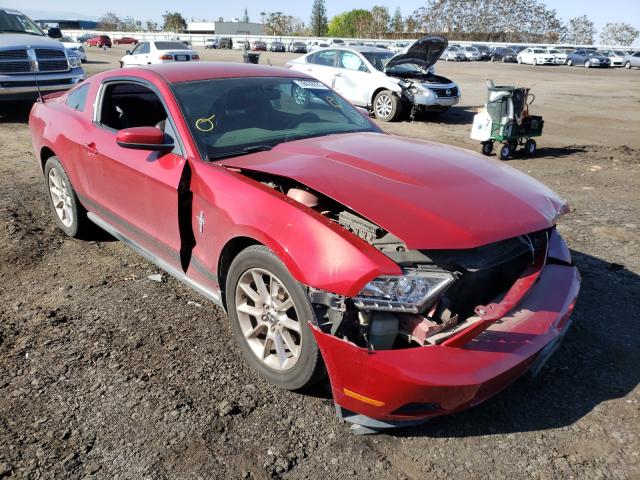 FORD MUSTANG 2010 1zvbp8anxa5112920