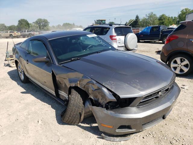 FORD MUSTANG 2010 1zvbp8anxa5113842