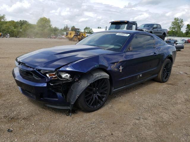 FORD MUSTANG 2010 1zvbp8anxa5115638