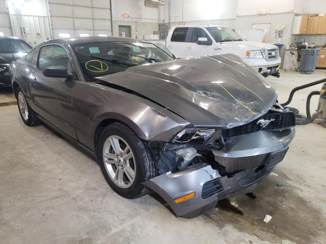 FORD MUSTANG 2010 1zvbp8anxa5117079