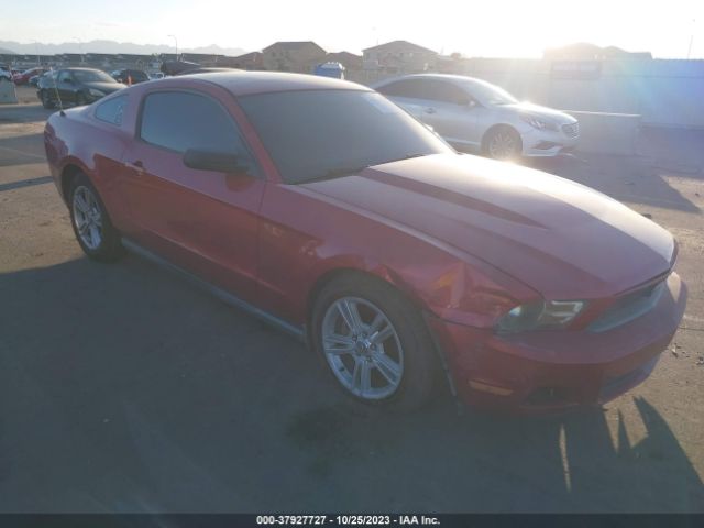 FORD MUSTANG 2010 1zvbp8anxa5117597