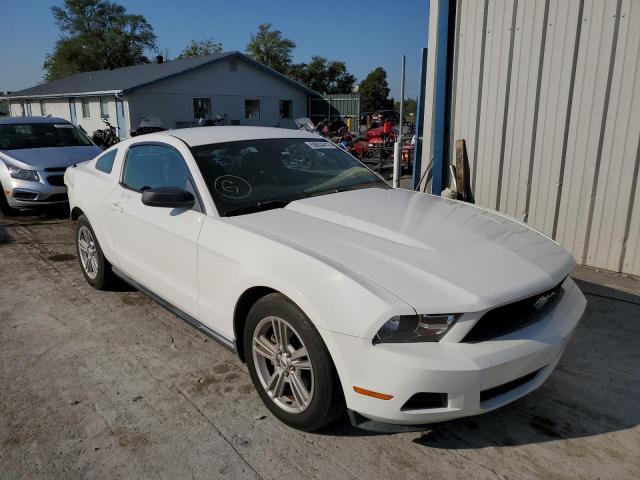 FORD MUSTANG 2010 1zvbp8anxa5118622