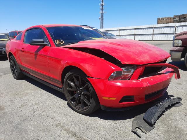 FORD MUSTANG 2010 1zvbp8anxa5120483