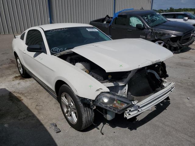 FORD MUSTANG 2010 1zvbp8anxa5120743