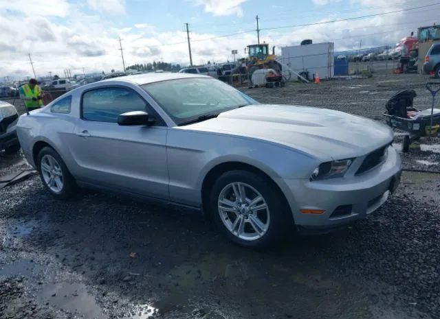 FORD MUSTANG 2010 1zvbp8anxa5120788