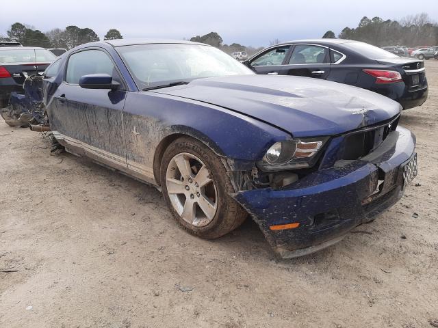 FORD MUSTANG 2010 1zvbp8anxa5120838