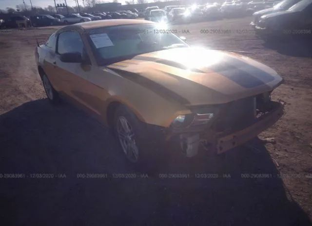 FORD MUSTANG 2010 1zvbp8anxa5130902