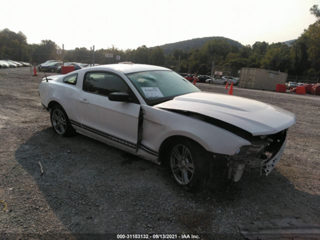 FORD MUSTANG 2010 1zvbp8anxa5131371