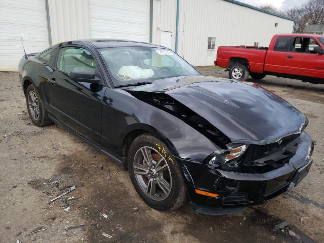 FORD MUSTANG 2010 1zvbp8anxa5133251