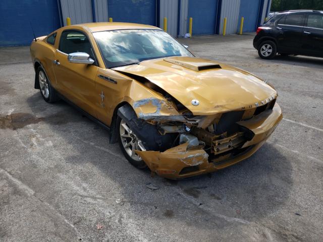 FORD MUSTANG 2010 1zvbp8anxa5135405