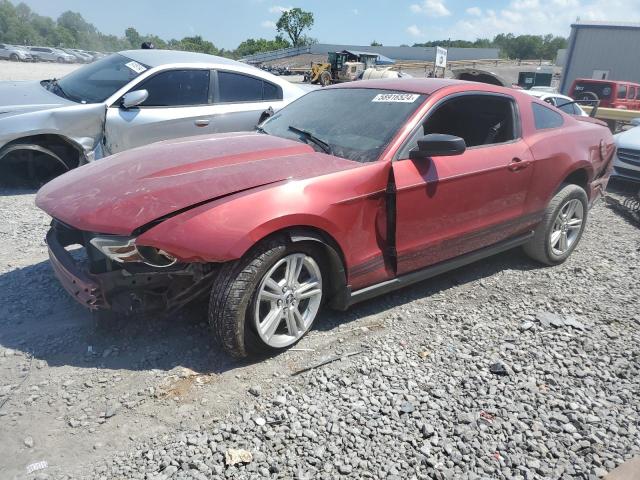 FORD MUSTANG 2010 1zvbp8anxa5142497