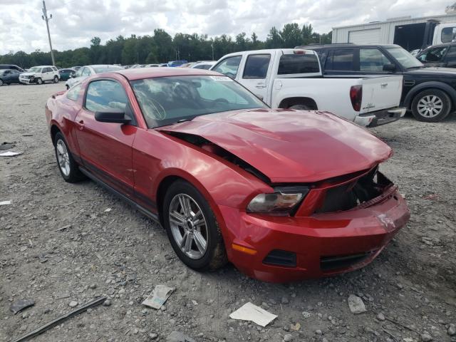 FORD MUSTANG 2010 1zvbp8anxa5143424