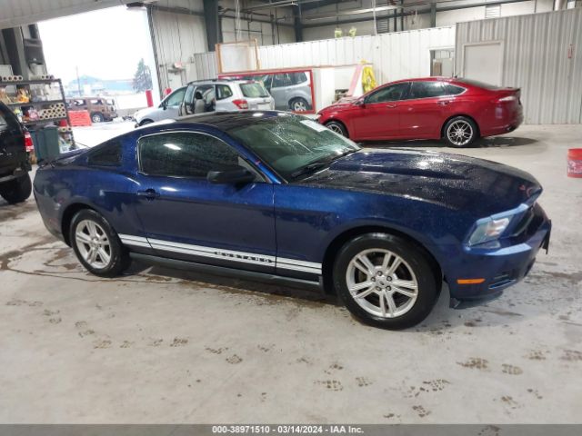 FORD MUSTANG 2010 1zvbp8anxa5145237