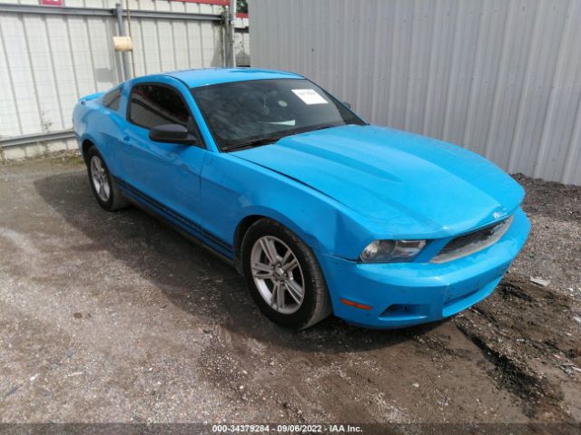 FORD MUSTANG 2010 1zvbp8anxa5146954