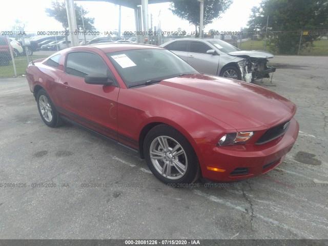 FORD MUSTANG 2010 1zvbp8anxa5148011