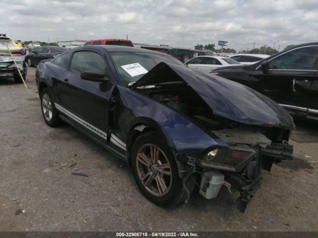 FORD MUSTANG 2010 1zvbp8anxa5148512