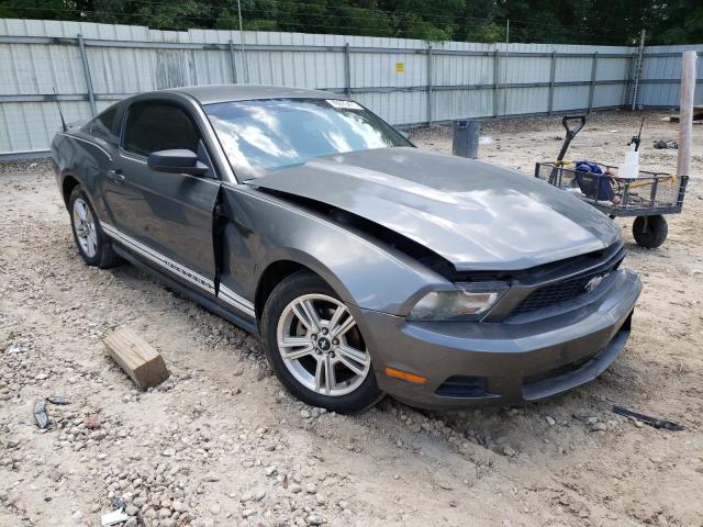 FORD MUSTANG 2010 1zvbp8anxa5152415