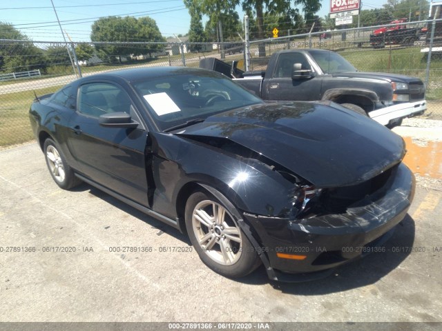 FORD MUSTANG 2010 1zvbp8anxa5152575