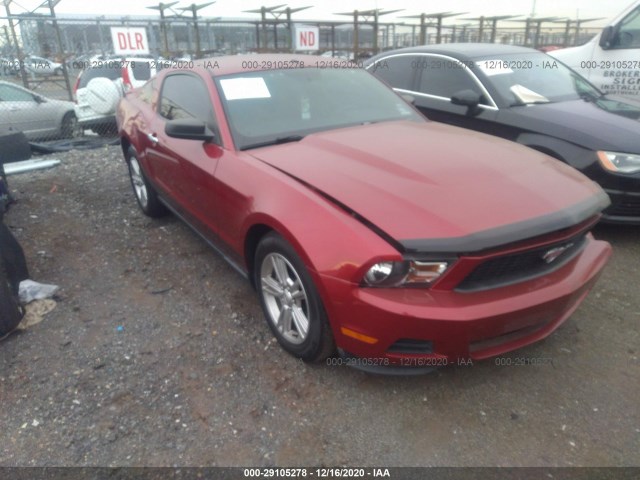 FORD MUSTANG 2010 1zvbp8anxa5152897