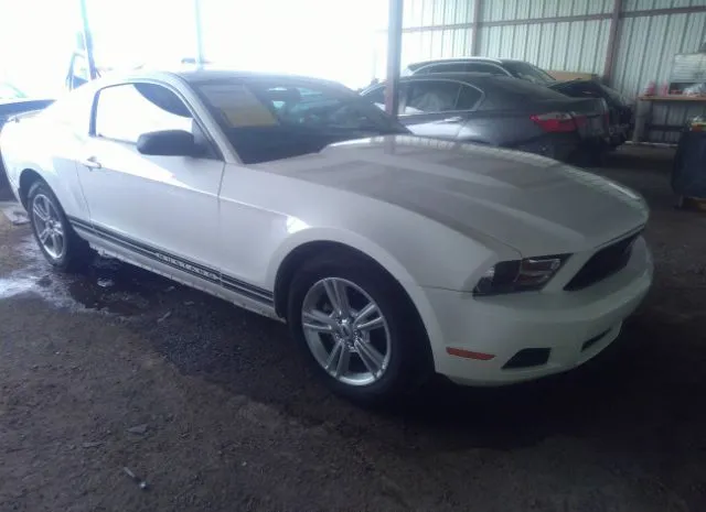 FORD MUSTANG 2010 1zvbp8anxa5155881