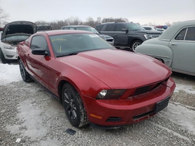 FORD MUSTANG 2010 1zvbp8anxa5156044