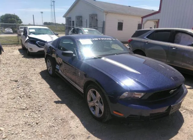 FORD MUSTANG 2010 1zvbp8anxa5156285