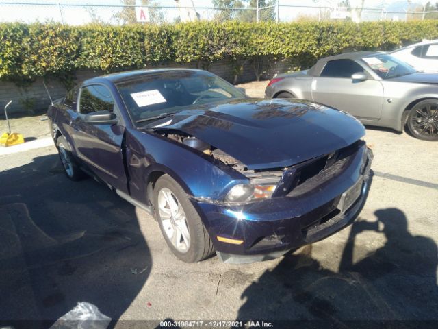 FORD MUSTANG 2010 1zvbp8anxa5157629