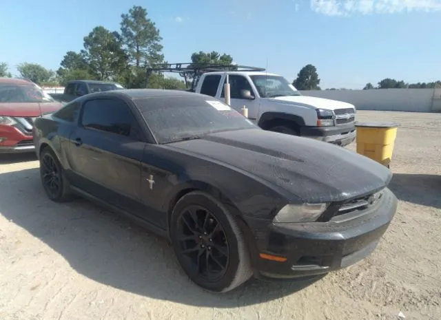 FORD MUSTANG 2010 1zvbp8anxa5159266