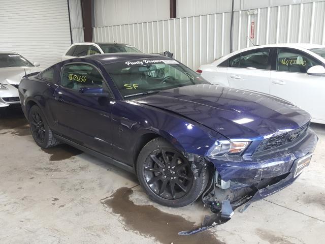 FORD MUSTANG 2010 1zvbp8anxa5162393