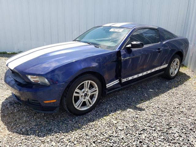 FORD MUSTANG 2010 1zvbp8anxa5163477