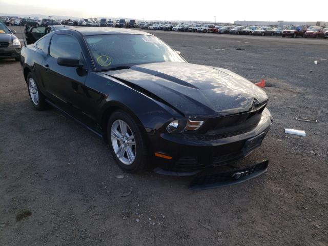 FORD MUSTANG 2010 1zvbp8anxa5165231