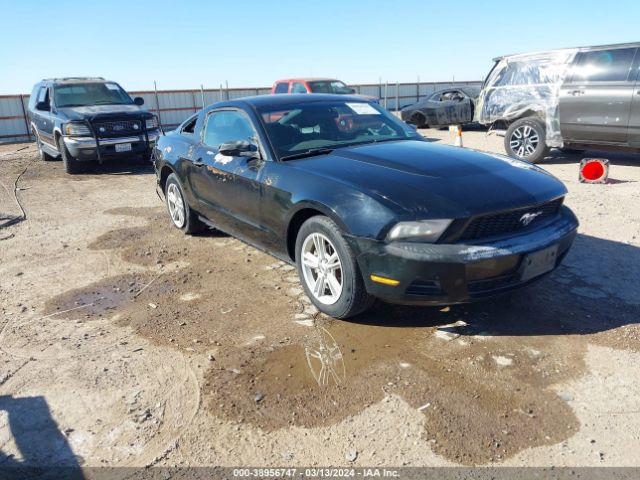 FORD MUSTANG 2010 1zvbp8anxa5165603