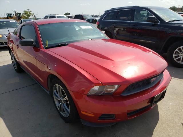 FORD MUSTANG 2010 1zvbp8anxa5170591