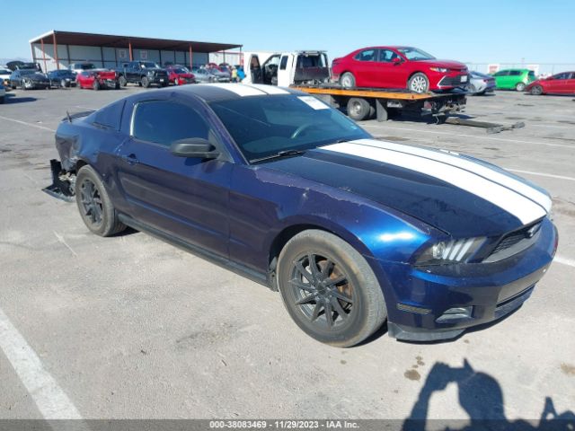 FORD MUSTANG 2010 1zvbp8anxa5170820