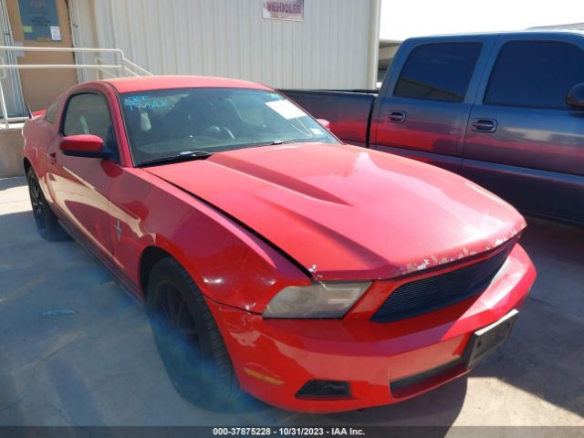 FORD MUSTANG 2010 1zvbp8anxa5171076