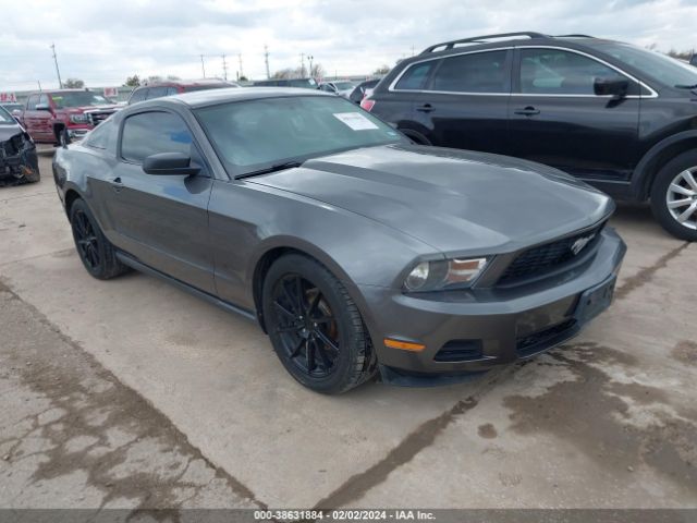 FORD MUSTANG 2010 1zvbp8anxa5172549