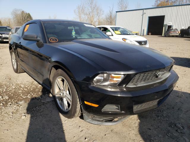 FORD MUSTANG 2010 1zvbp8anxa5172728